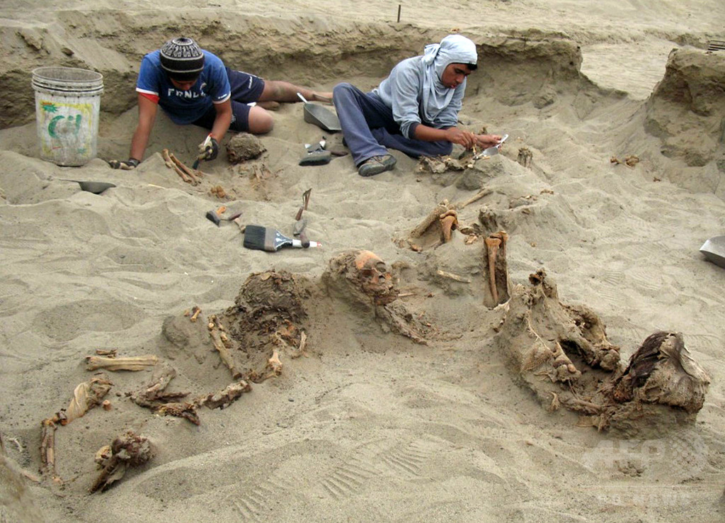 550年前の子どものいけにえか、遺骨140体発見 ペルー 550年前の子どものいけにえか、遺骨140体発見 ペルー