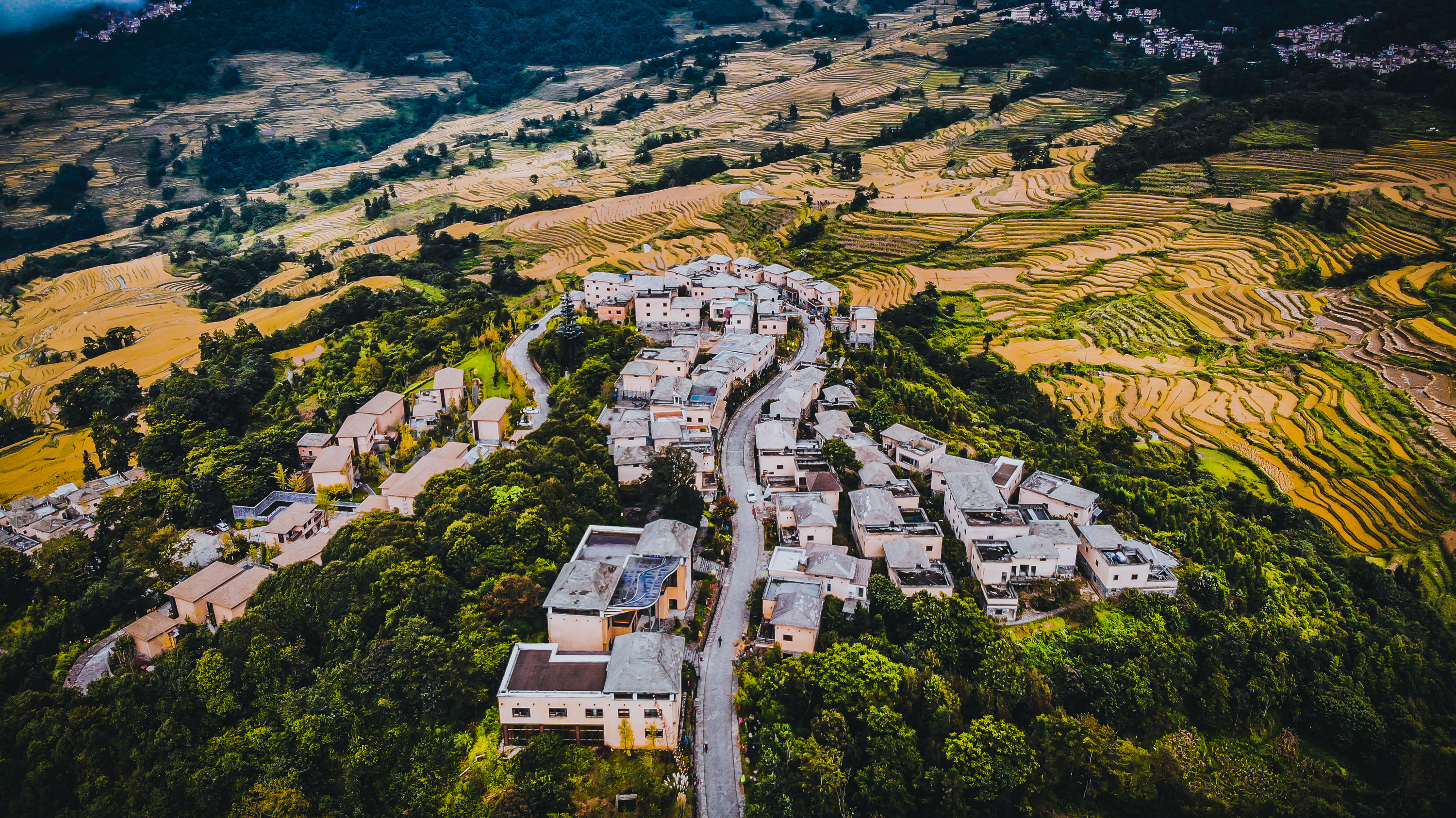 世界文化遺産、紅河ハニ棚田に豊かな実り 雲南省元陽県 写真4枚 国際ニュース：AFPBB News