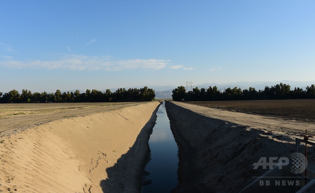米カリフォルニア州全域に節水令、干ばつ深刻化で史上初の措置 米カリフォルニア州全域に節水令、干ばつ深刻化で史上初の措置