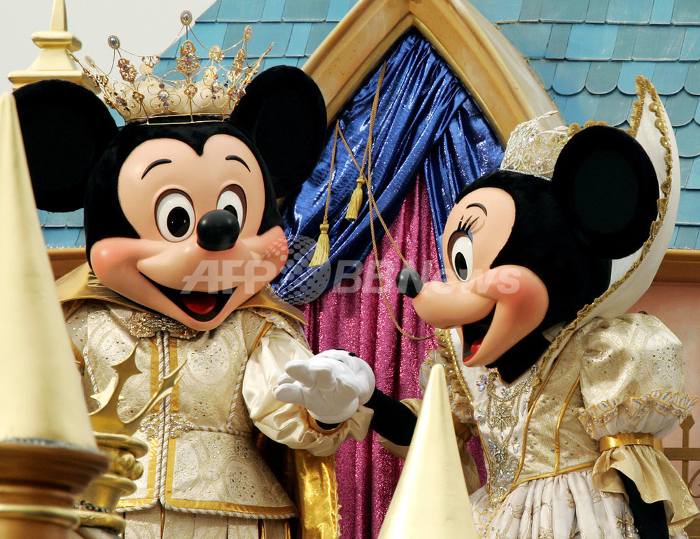 フェアリーテイル 結婚】ディズニー リングピロー FTW フェアリー