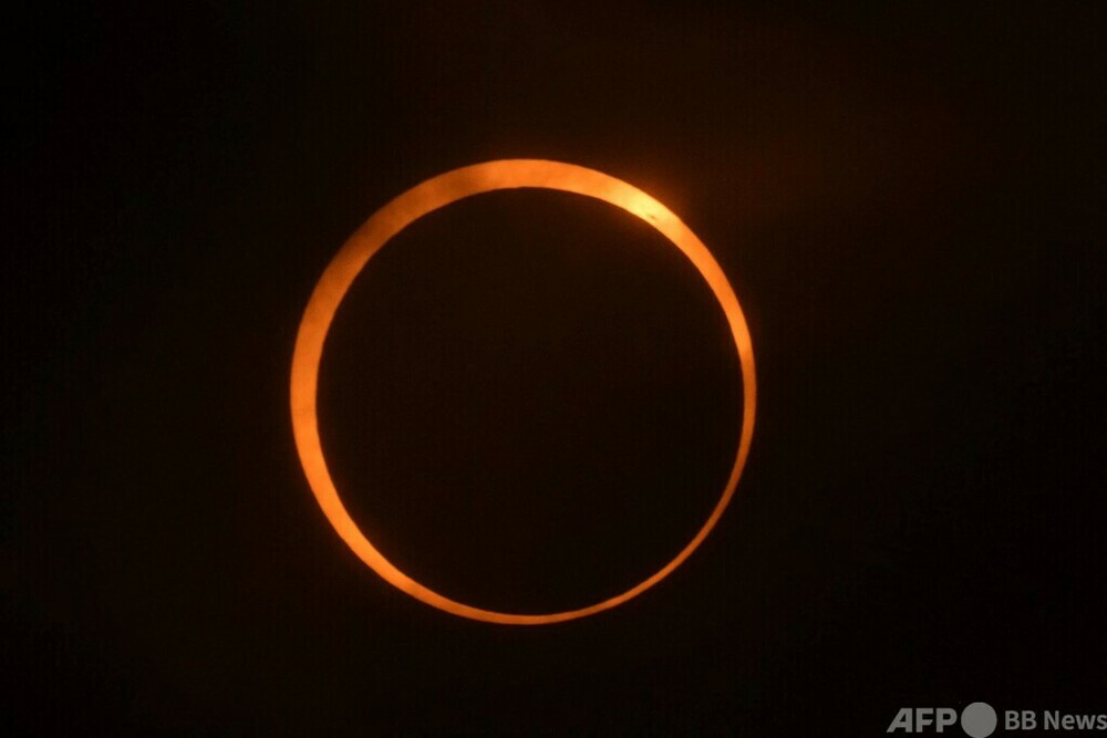 img_1dd3bf920b916bab5690f80a9c