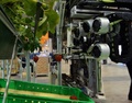 農家の人たちが眠っている間に熟したイチゴを収穫してくれるロボットが25日、都内で開催された自動認識総合展（AutoID and Communication Expo）で公開された。開発者によると、農家の作業量は3分の2に軽減されるという。

機械メーカーのシブヤ精機（Shibuya Seiki）と食料や農業、農村に関連した研究活動を行う農研機構（National Agriculture and Food Research Organisation）が出展した全長2メートルのロボットは、畝の間に敷いたレール上を移動しながら作業し、8秒に1個のイチゴを摘み取ることができる。

また、収穫に適しているイチゴを選ぶためのカメラが3台装備されており、イチゴの状態を確認した上でアームを出して摘み、かごに入れていく。（2013年9月25日撮影）。(c)AFP/Yoshikazu TSUNO
