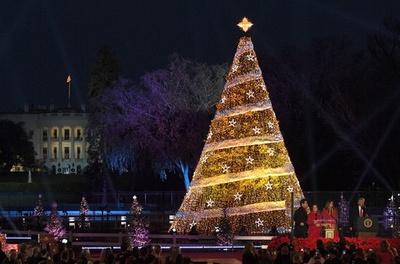 米首都でクリスマスツリー点灯式、アーティストのパフォーマンスも