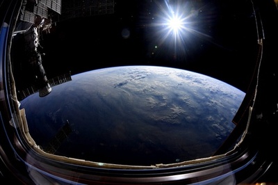 Mouse embryos grown in space for first time: Japan researchers