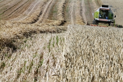 CO2増加で作物の成長促進か、独研究