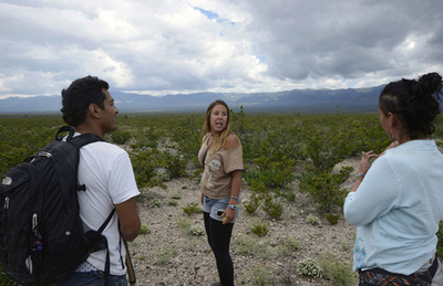 幻覚サボテン「ペヨーテ」を追う旅、メキシコ