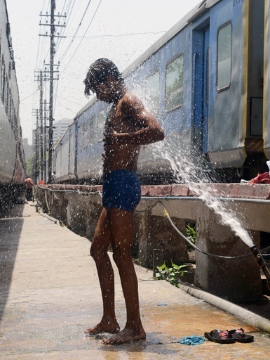 気温48度の猛暑、赤ちゃん猿もぐったり インド