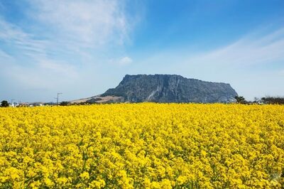 「済州島の代わりに福岡」…韓国人旅行者の人気都市、続々と日本が上位に