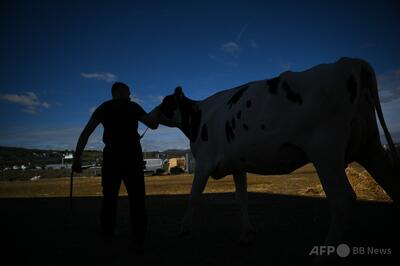 シャモンダウイルスのヒト感染初確認、患者は死亡 フランス