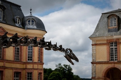 【今日の1枚】城の窓をうかがう長い首 フランス