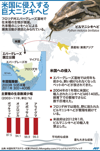 【図解】米国に侵入する巨大ニシキヘビ