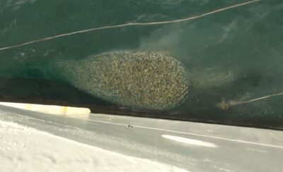 済州近くで横行する中国「かっさらい」漁、稚魚まで残らず…怒りの韓国、取り締まり強化