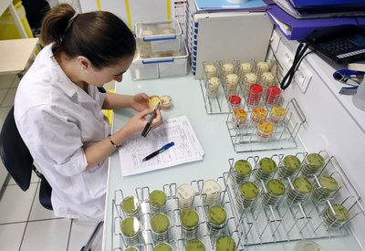 女性が科学を研究する可能性、男性の半分以下 調査