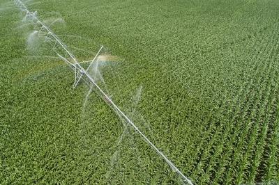 地下水くみ上げ、河川系に破滅的影響の恐れ 研究