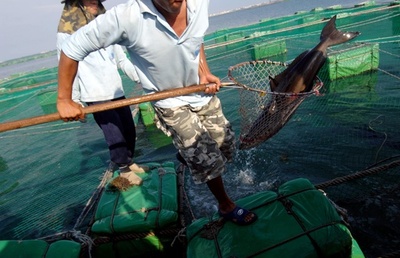 連続48時間労働も…台湾で外国人漁師が「海の奴隷労働」