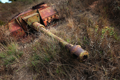 ブルガリアで戦車泥棒逮捕、陸軍将校も関与