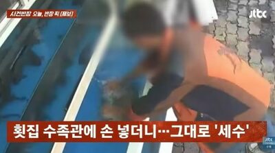 鮮魚店の水槽に両手入れ「魚の水」で洗顔…韓国・同じ男性が4カ月前にも