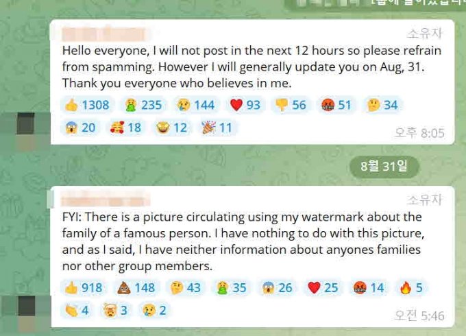 当該Twitterユーザーが運営するTelegramチャットルーム（写真=Telegram）(c)MONEYTODAY