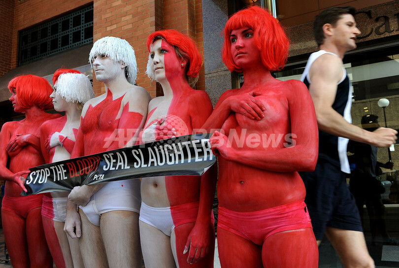 アザラシ猟反対訴えるPETA、赤白に塗った体でカナダの国旗に
