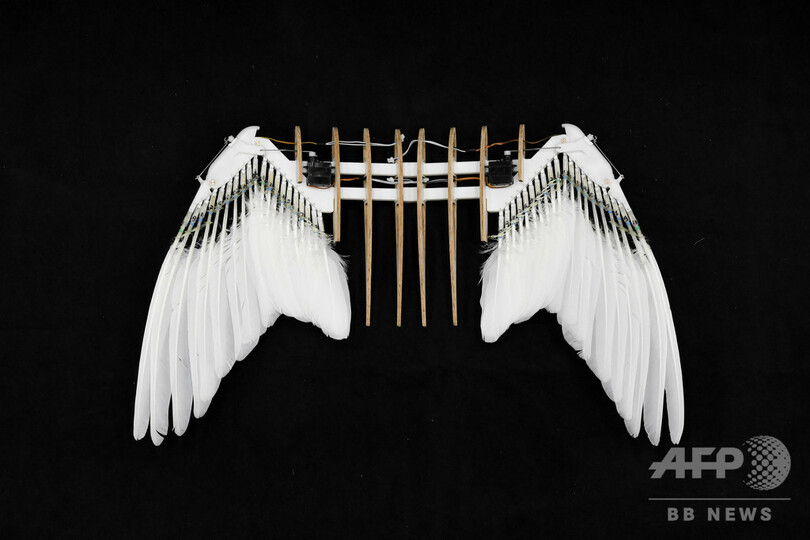 鳥のように飛べる飛行機、「ピジョンボット」で実現に一歩前進