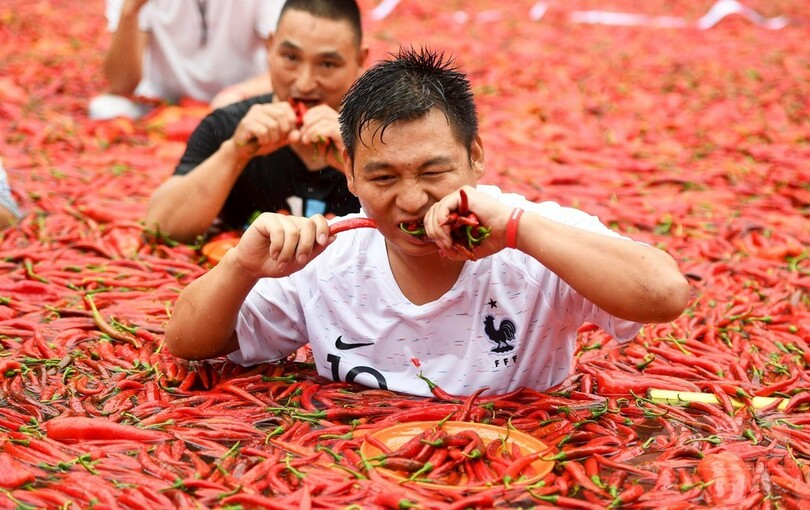 中国で唐辛子の大食い選手権 1分で50個の猛者も 写真5枚 国際ニュース Afpbb News