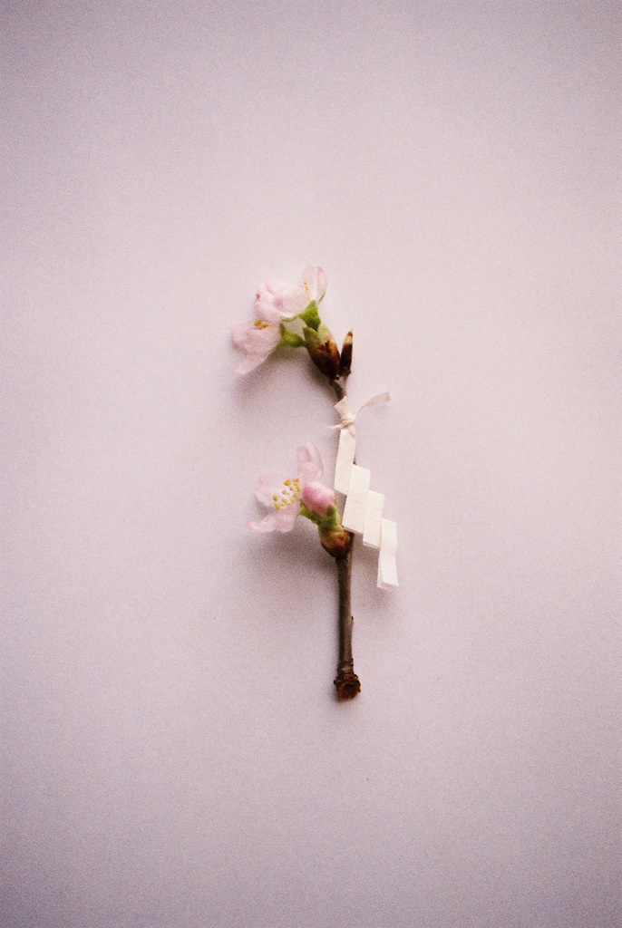 ディオール フォトグラフィー アワード ファイナリスト 櫻井麻衣インタビュー 写真4枚 マリ クレール スタイル Marie Claire Style