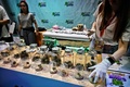 タイ中部ナコンパトム県で開催された大麻の合法化を祝うイベント「タイランド420: リーガルレーオ⁉」で、大麻を販売する人（2022年6月11日撮影）。(c)Lillian SUWANRUMPHA / AFP