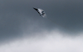 英南部のハンプシャー（Hampshire）で9日、ファンボロー国際航空ショー（Farnborough International Airshow）が開幕した。債務に苦しむ各国政府が軍事費を削減している中、今回のショーで発表される軍用機の大型契約は少ないとみられる。

写真は、デモ飛行するF/A18戦闘攻撃機（2012年7月9日撮影）。(c)AFP/CARL COURT