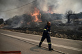 ギリシャ北部アレクサンドルポリス付近で、山火事の消火に当たる消防隊員（2023年8月23日撮影）。(c)Sakis MITROLIDIS / AFP
