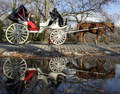 米ニューヨーク（New York）のセントラルパークサウス（Central Park South）を走る馬車（2007年12月20日撮影）
。(c)AFP/DON EMMERT