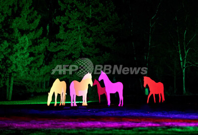 光るウマ 一味違うクリスマス 独ドルトムント 写真4枚 ファッション ニュースならmode Press Powered By Afpbb News