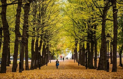 赤、黄…散歩したくなる秋色の公園 ストックホルム