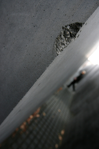 ホロコースト記念日にカーニバル、ユダヤ人組織が非難