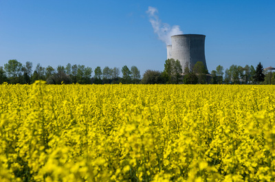 仏、消費電力半減・原発依存度引き下げへ 議会が法案可決