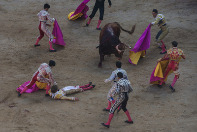 スペインで闘牛士が牛に突かれて死亡、観客の目前で