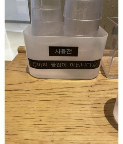 ペット同伴OKでも限度あり…韓国・スタバ「犬用ではない」注意書きの裏側