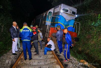 列車がゾウの家族と衝突して脱線、6頭死ぬ スリランカ