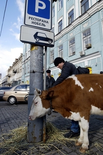 豪州エープリルフール、「でっち上げ報道」のいろいろ