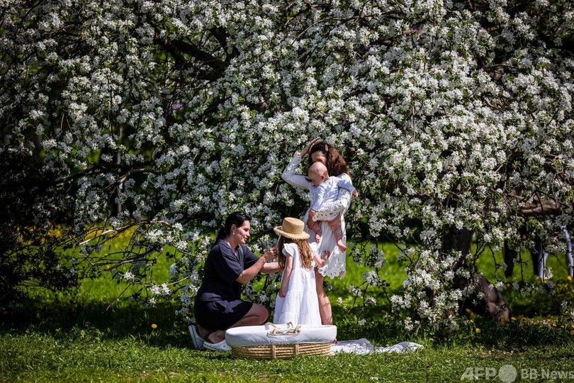 ライラックやリンゴの花に包まれて ロシア・モスクワ