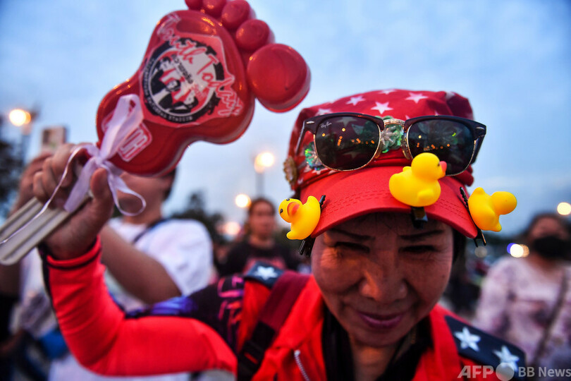 無敵の闘士？ 黄色いアヒル、タイ民主派デモの象徴に