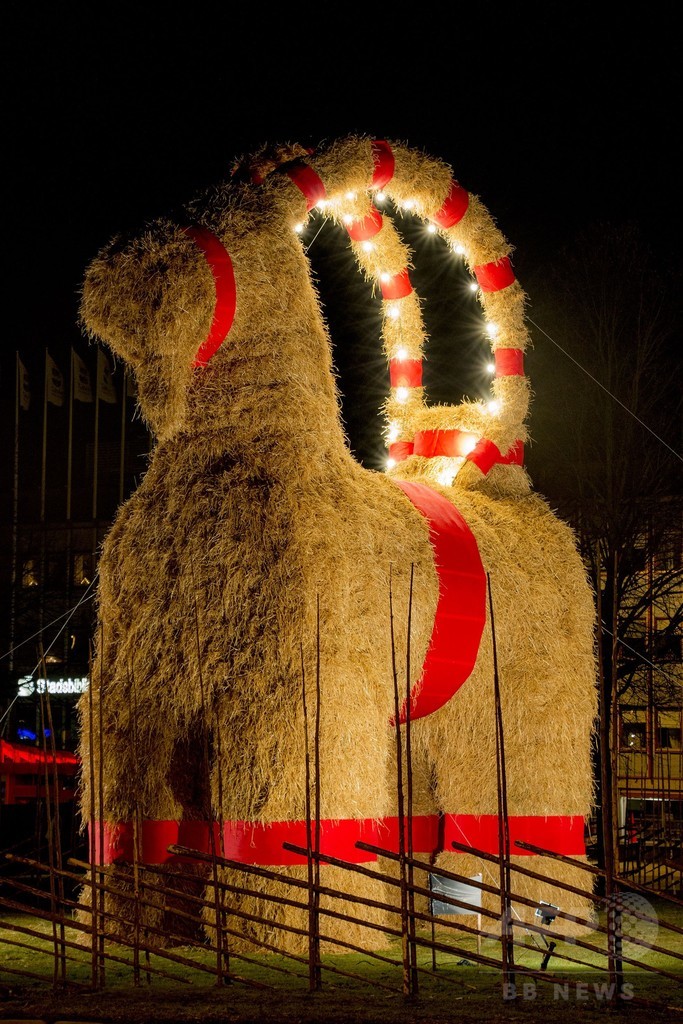 スウェーデン伝統の巨大ワラ「ヤギ」人形登場、アドベントで