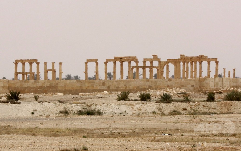 パルミラ遺跡、一部大きく破壊も「真正さ」保つ ユネスコ調査