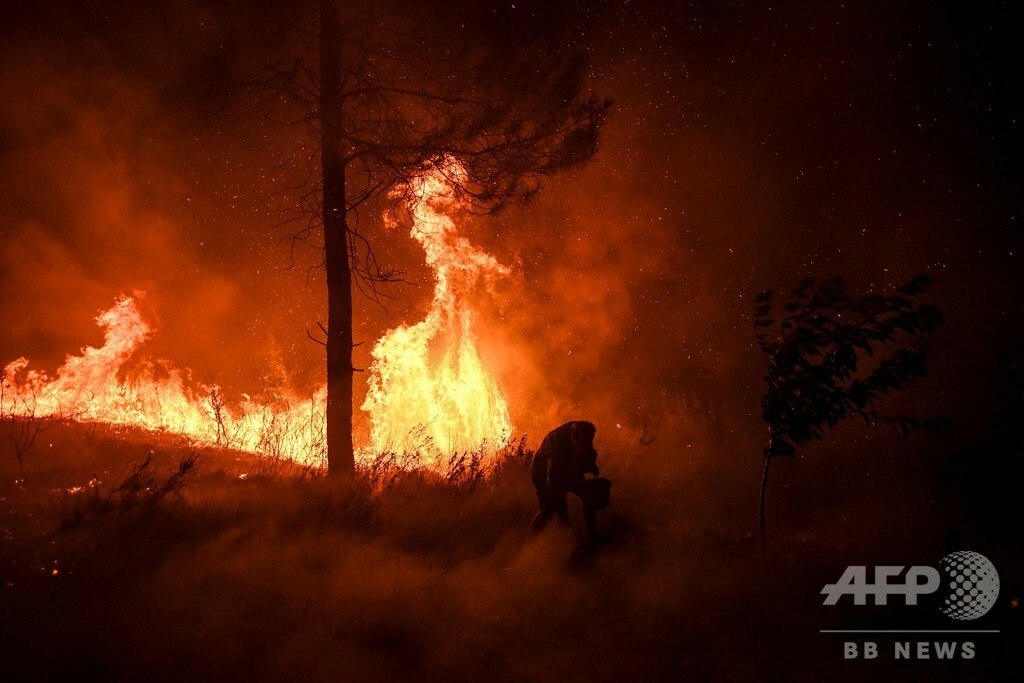 ポルトガル中部で山火事 消防隊員1700人が消火活動 写真10枚 マリ クレール スタイル Marie Claire Style