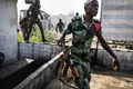 選挙後に起きた衝突の鎮圧に向かうガボン兵士。(c)AFP/MARCO LONGARI