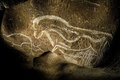南仏アルデシュ（Ardeche）県のショーベ洞窟（Chauvet Cave）内に描かれた壁画（2014年6月13日撮影）。(c)AFP/JEFF PACHOUD