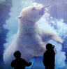 都内・銀座のソニービル（Sony Building）で、北海道・旭川（Asahikawa）の旭山動物園（Asahiyama Zoo）のホッキョクグマをハイビジョン3D映像で楽しむ子どもたち（2009年12月22日撮影）。(c)AFP/Toru YAMANAKA