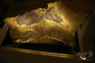 ラスコー洞窟壁画を原寸大で再現、パリで展示会開催へ 写真2枚 国際