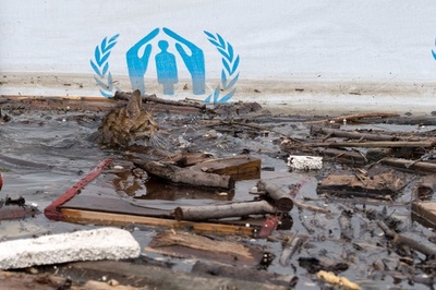 ウクライナのダム決壊は「エコサイド」 NGOが環境負荷推定