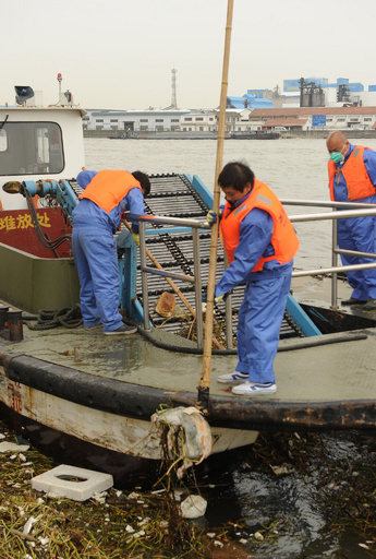 上海で回収された豚の死骸、6600匹に
