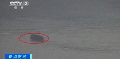 水泳の達人！ イノシシが長江を12分で渡る 中国南京